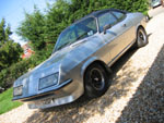 Firenza Droopsnoot in sun and shade on a gravel drive